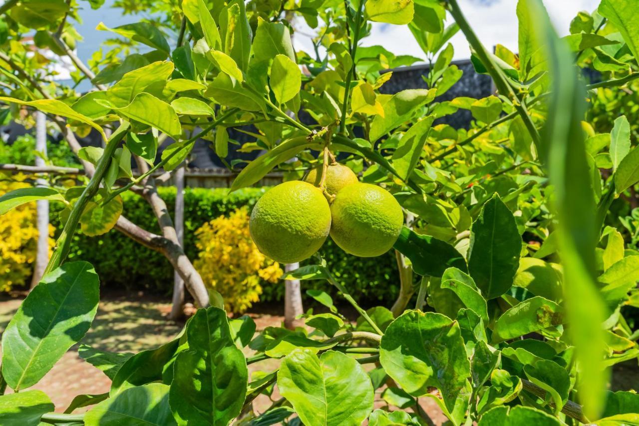 1730 Kaleka 4 Bed Poipu House, Guest House Walk To Beach Koloa Exterior photo